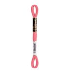 LINHA MEADA ANCHOR MOULINE 8M LINHAS CORRENTE  2/2