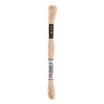 LINHA MEADA ANCHOR MOULINE 8M LINHAS CORRENTE 1/2