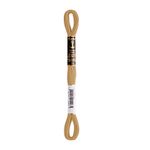 LINHA MEADA ANCHOR MOULINE 8M LINHAS CORRENTE 1/2