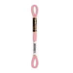 LINHA MEADA ANCHOR MOULINE 8M LINHAS CORRENTE 1/2