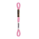 LINHA MEADA ANCHOR MOULINE 8M LINHAS CORRENTE 1/2