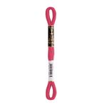 LINHA MEADA ANCHOR MOULINE 8M LINHAS CORRENTE 1/2