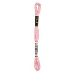LINHA MEADA ANCHOR MOULINE 8M LINHAS CORRENTE 1/2
