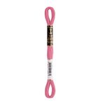 LINHA MEADA ANCHOR MOULINE 8M LINHAS CORRENTE 1/2