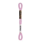 LINHA MEADA ANCHOR MOULINE 8M LINHAS CORRENTE 1/2