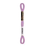 LINHA MEADA ANCHOR MOULINE 8M LINHAS CORRENTE 1/2
