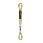 LINHA MEADA ANCHOR MOULINE 8M LINHAS CORRENTE 1/2