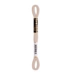 LINHA MEADA ANCHOR MOULINE 8M LINHAS CORRENTE 1/2