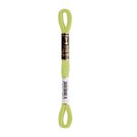 LINHA MEADA ANCHOR MOULINE 8M LINHAS CORRENTE 1/2