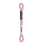 LINHA MEADA ANCHOR MOULINE 8M LINHAS CORRENTE 1/2