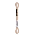 LINHA MEADA ANCHOR MOULINE 8M LINHAS CORRENTE 1/2