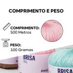 FIO BRISA 100G PINGOUIN