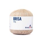 FIO BRISA 100G PINGOUIN