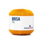 FIO BRISA 100G PINGOUIN