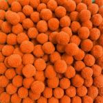 POMPOM 1CM COM 40 UNIDADES ROMA AVIAMENTOS