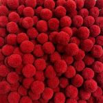 POMPOM 1CM COM 40 UNIDADES ROMA AVIAMENTOS