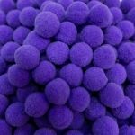 POMPOM 1,5CM COM 20 UNIDADES ROMA AVIAMENTOS