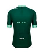 Camisa Ciclismo Masculino Leader of the Point Tour de France Verde Santini