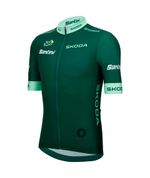 Camisa Ciclismo Masculino Leader of the Point Tour de France Verde Santini