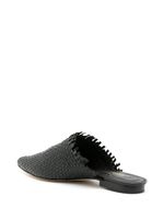 Mule Simplon 