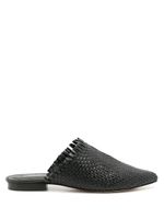 Mule Simplon 