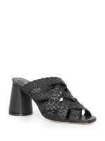 Mule Mont Blanc 