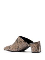 Mule Studio 181 