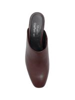 Mule Studio 181 