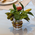 Vaso Color Line Turtle