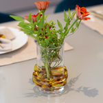 Vaso Color Line Turtle