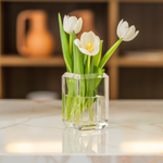 Vaso Diamond 