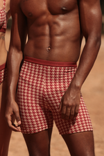 SHORT PIED | PIED SHORTS 