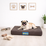Cama para cachorro impermeável ABSOLUTE tamanho P
