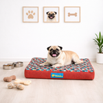 Cama para cachorro impermeável ABSOLUTE tamanho P