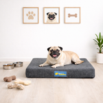 Cama para cachorro impermeável ABSOLUTE tamanho P