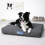 Cama para cachorro impermeável ABSOLUTE tamanho M