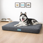 Cama para cachorro impermeável ABSOLUTE tamanho G