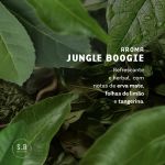 Óleo de Barba - Jungle Boogie 30ml
