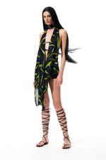 Top Kaya Tropical Citrus | Kaya Tropical Citrus Top