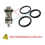 KIT ANEL ORING DA VALVULA BY PASS DA LAVADORA HD585 STIHL RE900