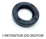 KIT REPARO DA BOMBA WAP MINI COM VALVULAS
