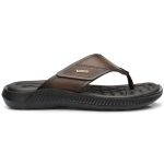 Chinelo Pegada 133161 Masculino Pinhão
