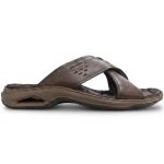 Chinelo Pegada 133239 Masculino Cravo