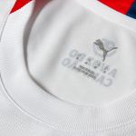 Camiseta Puma Bahia Torcedor Masculina Branco