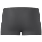 Sunga Fila Boxer II Masculino Cinza