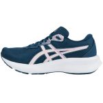 Tênis Asics Raiden 5 Feminino Azul
