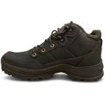 Bota Coturno Bull Terrier Desert Masculino Burnet