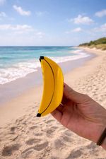 Piranha Banana – Stacy Club