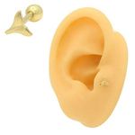 Piercing Calda Tragus Ouro 18k