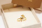 Anel Borboleta Ouro 18k